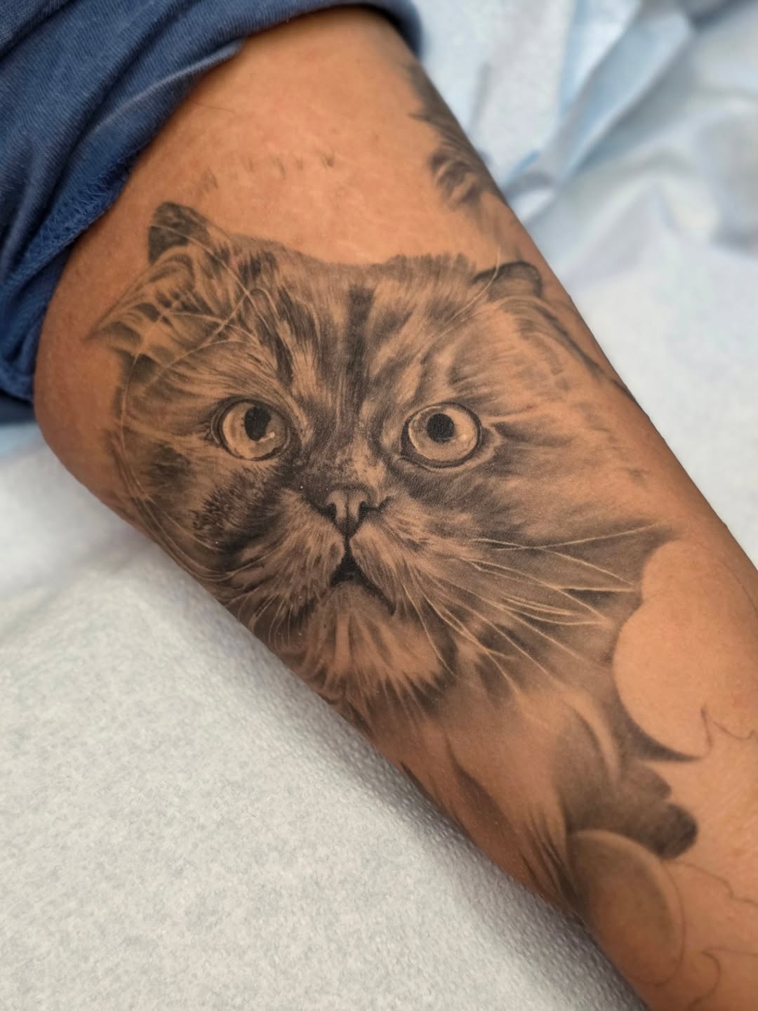 Hyper-realistic cat portrait in grayscale shading