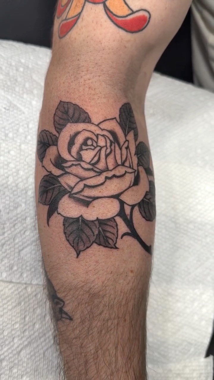Bold black-and-gray rose with lush shading on leg