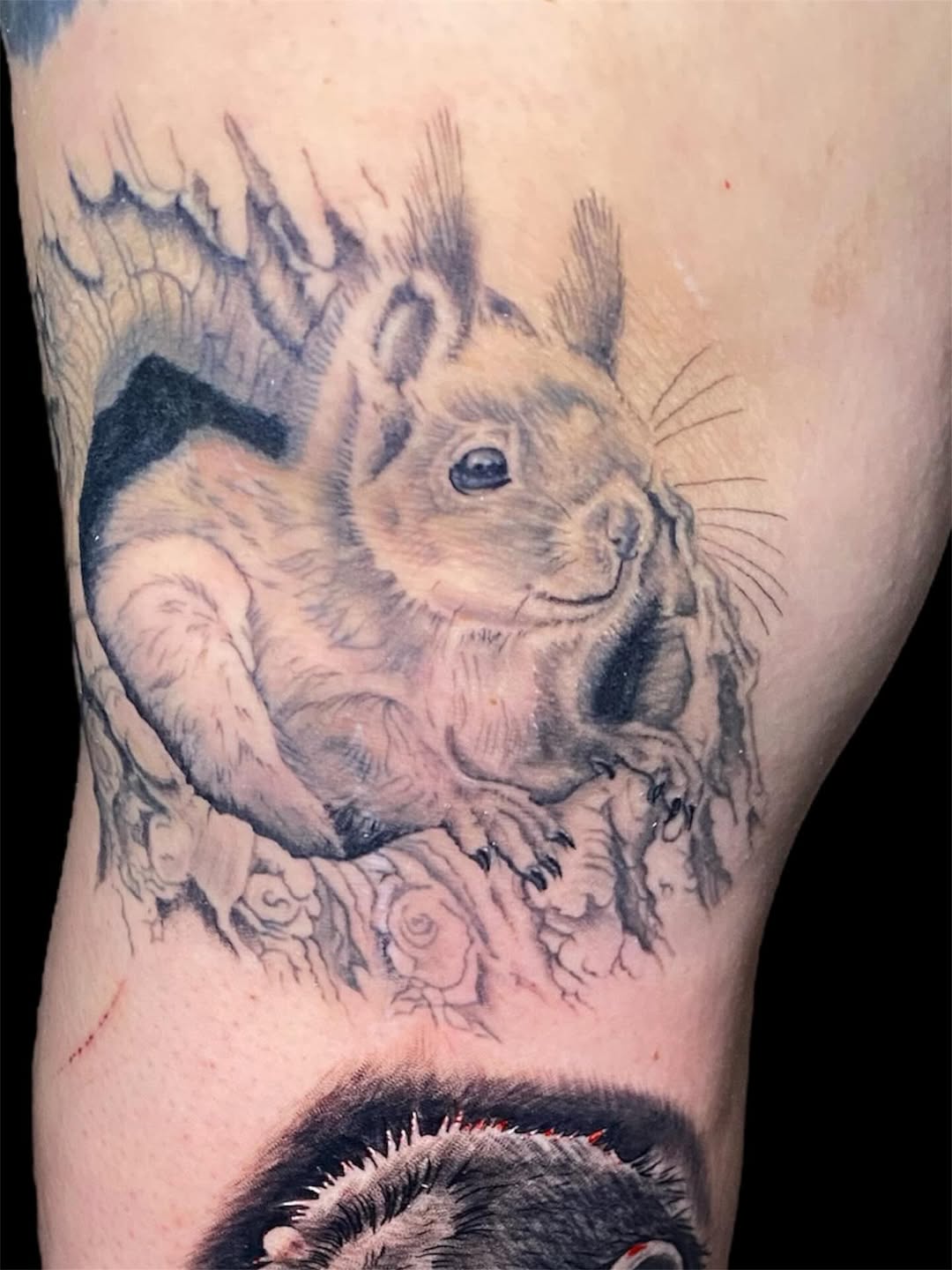 Soft-gray squirrel perched on branch, delicate floral base.