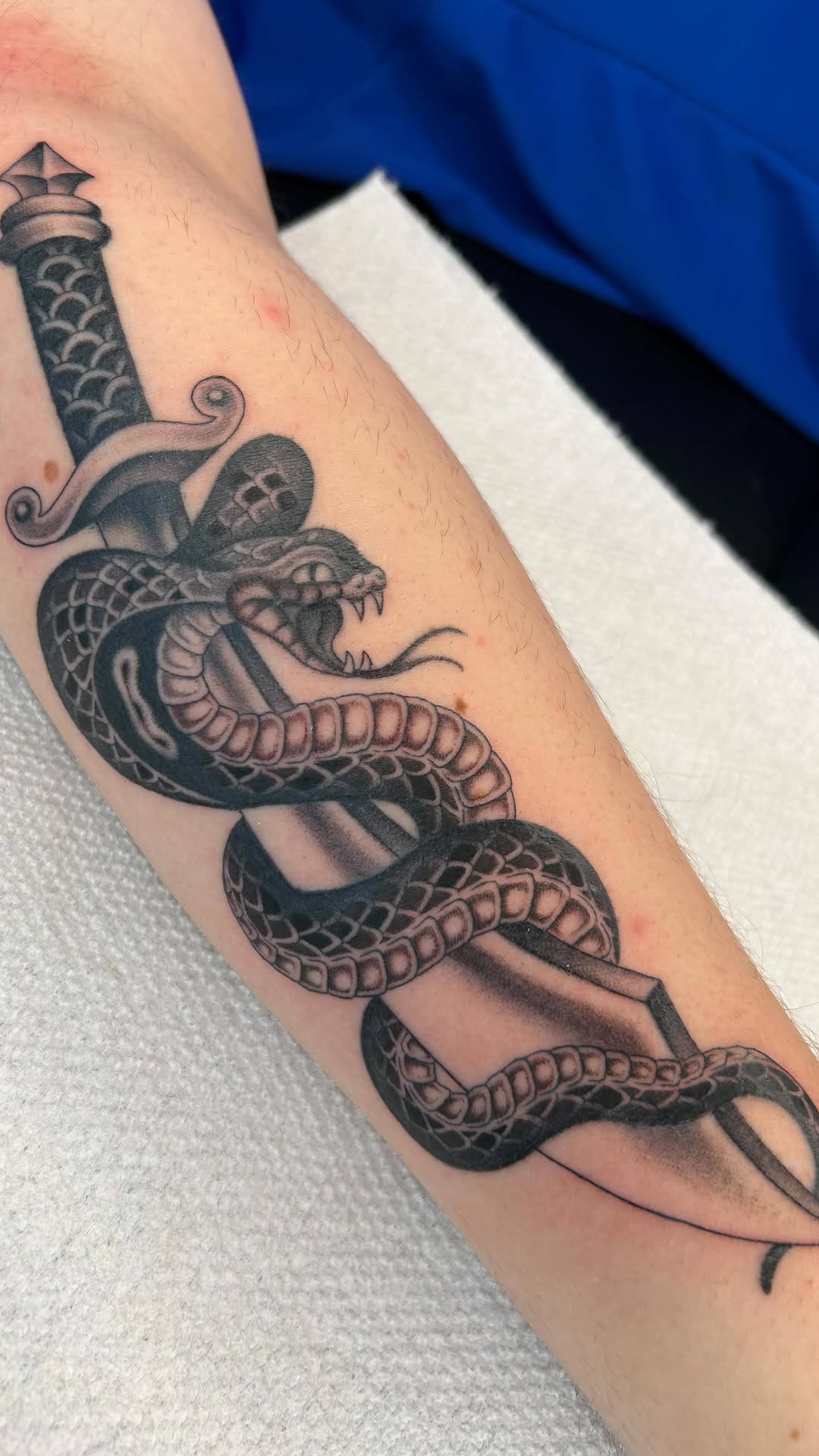 Coiled snake entwined around a dagger, bold shading