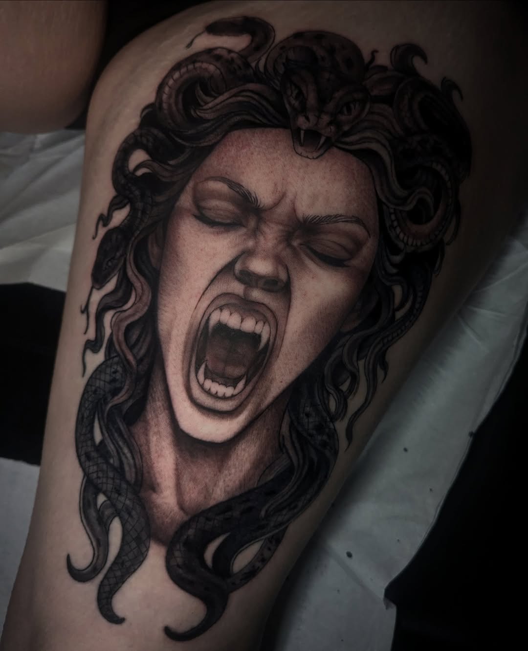 Striking black-and-gray Medusa head with coiled snakes