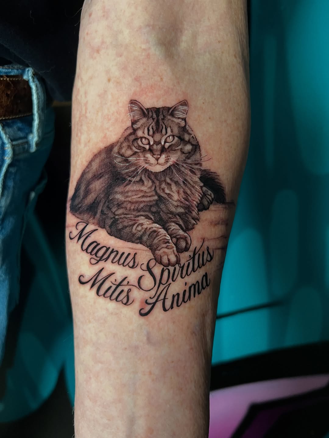 Striking tabby cat portrait with detailed fur textures