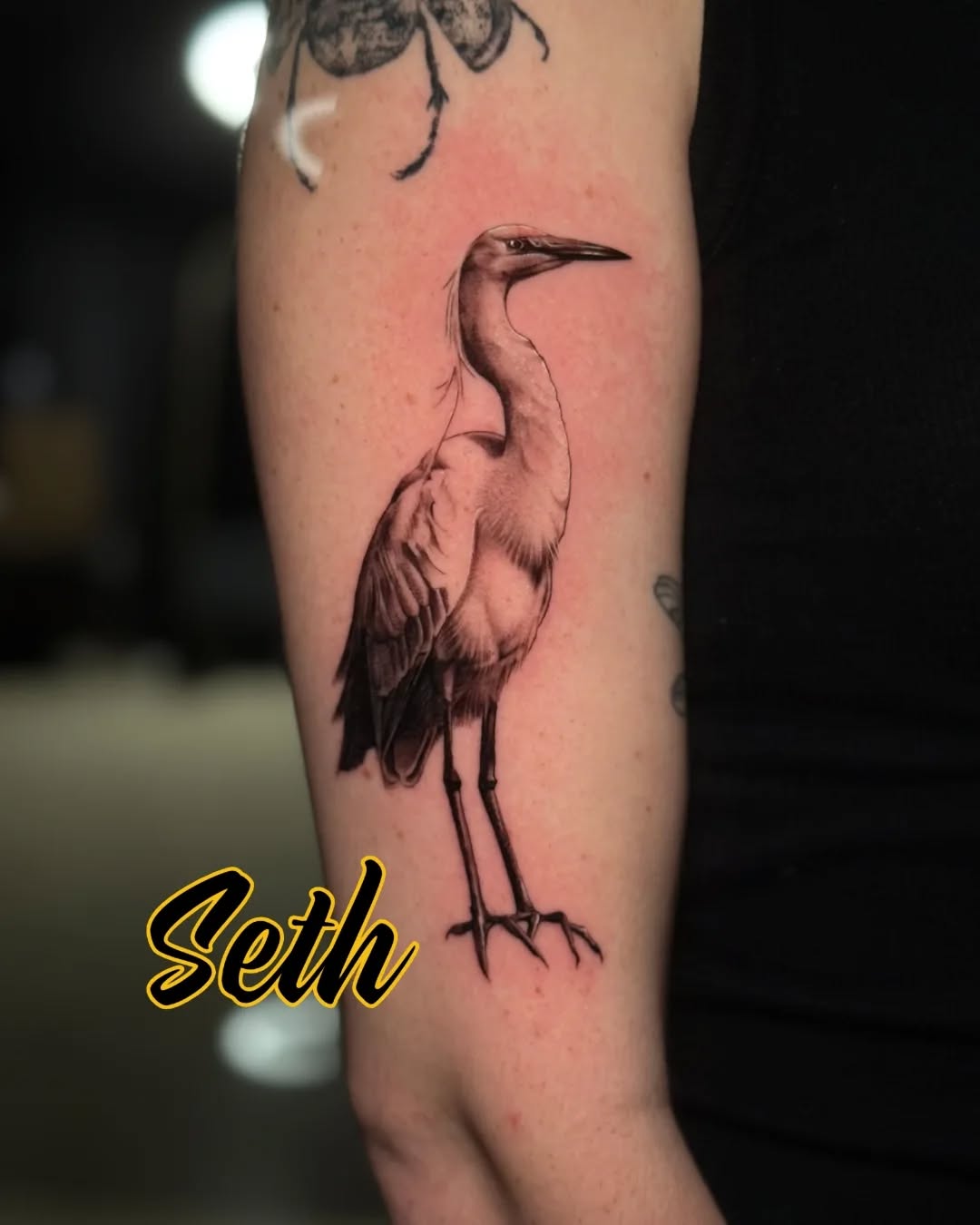 Elegant black-and-gray heron with meticulous shading artistry