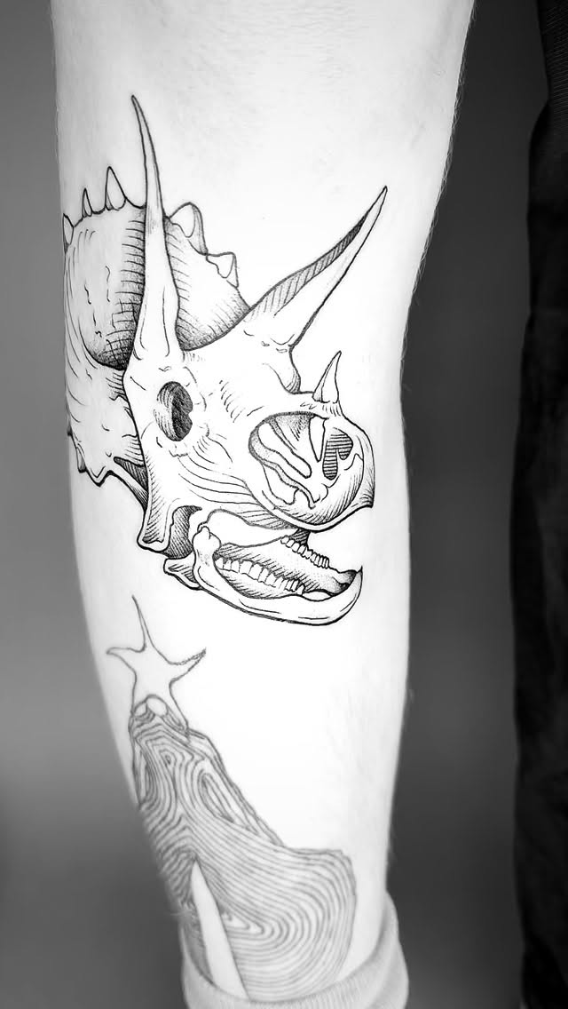 Bold triceratops skull in crisp black-line illustration