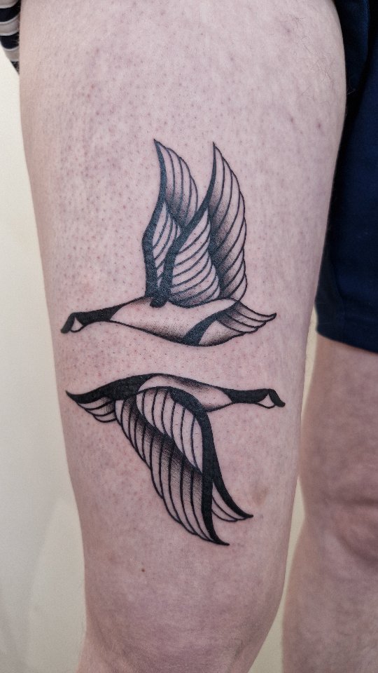 Two geese in flight, bold linework with shading