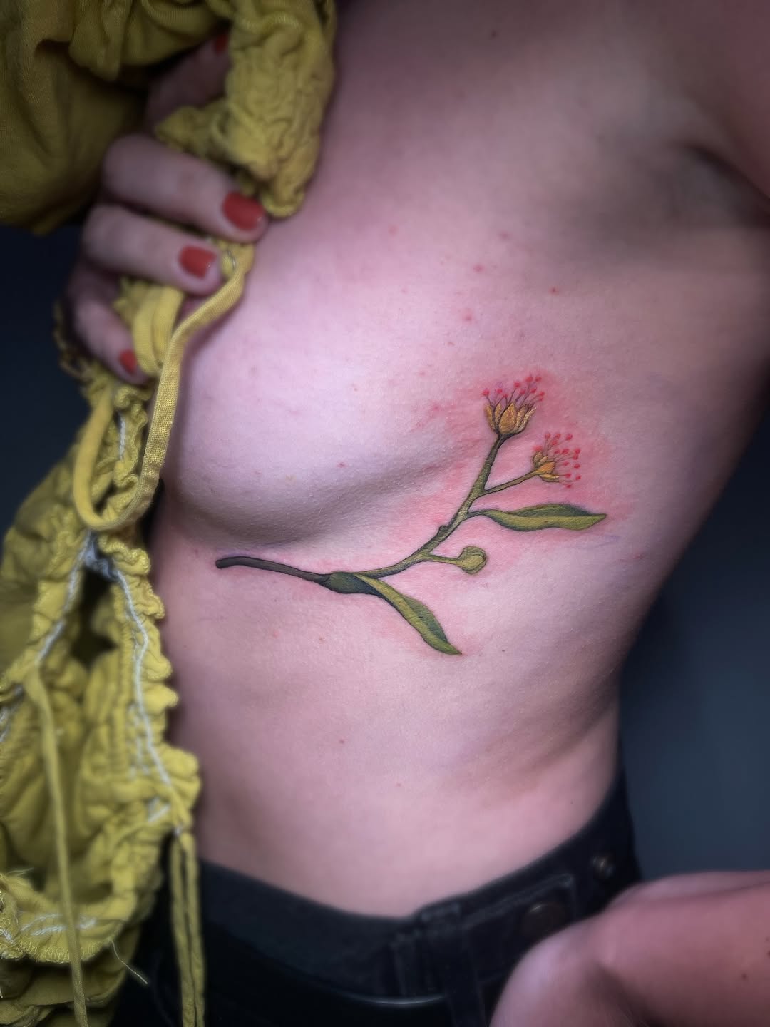 Delicate floral stem with tiny pink blooms, watercolor feel