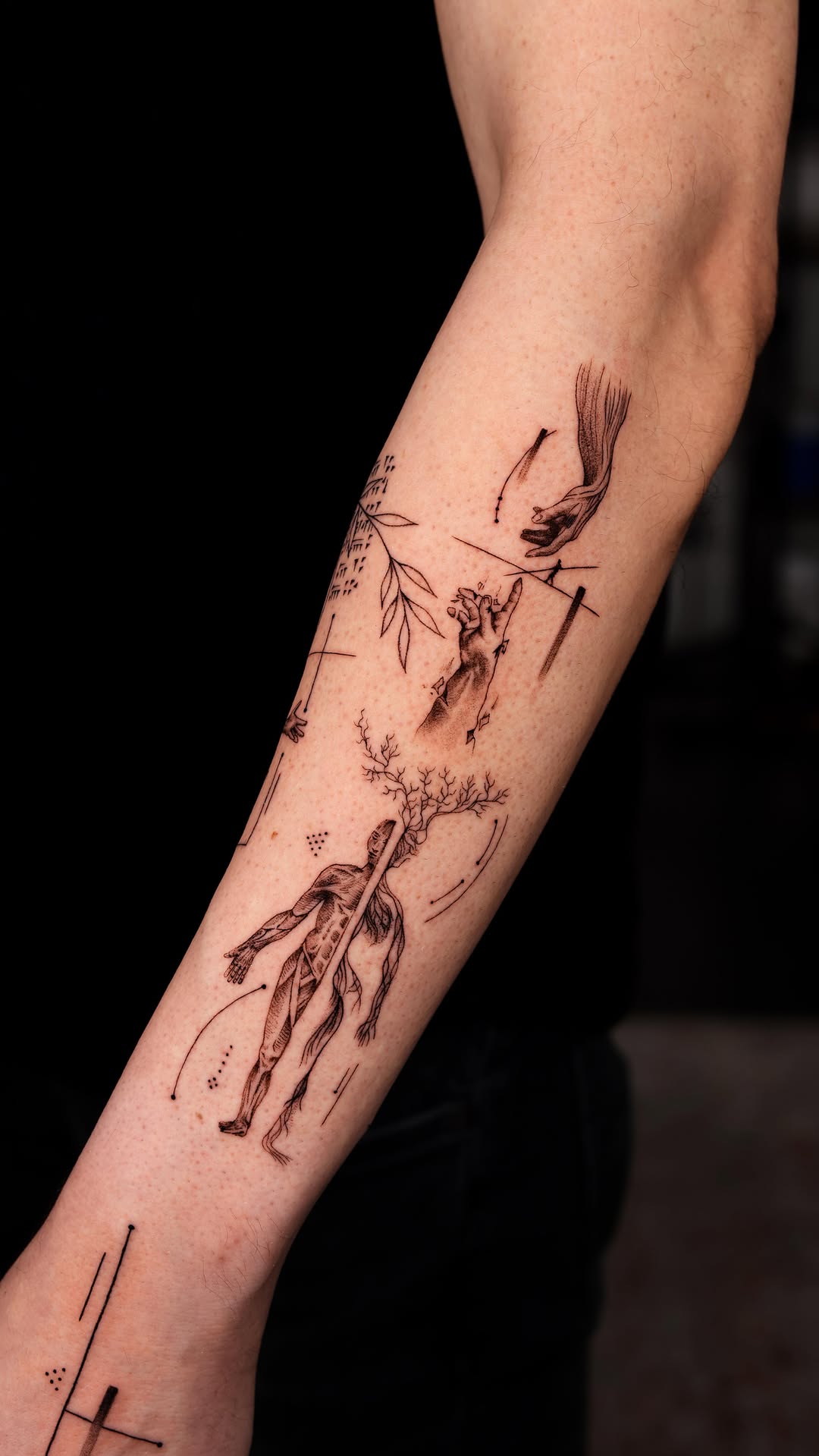 Intricate fine-line anatomy fused with delicate botanical branches