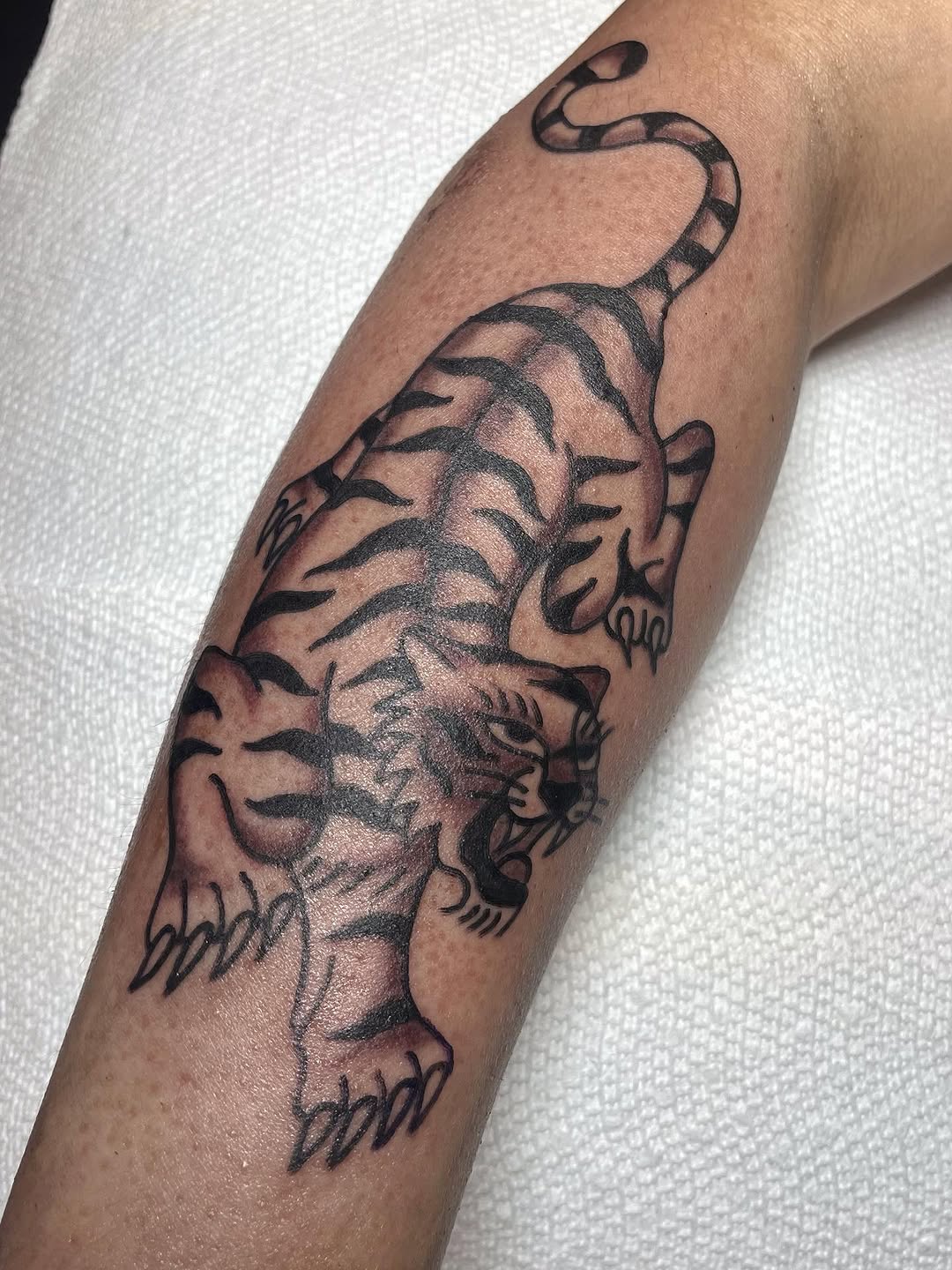 Bold tiger illustration with striped blackwork on forearm