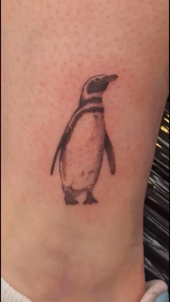 Tiny minimalist penguin in bold black fineline