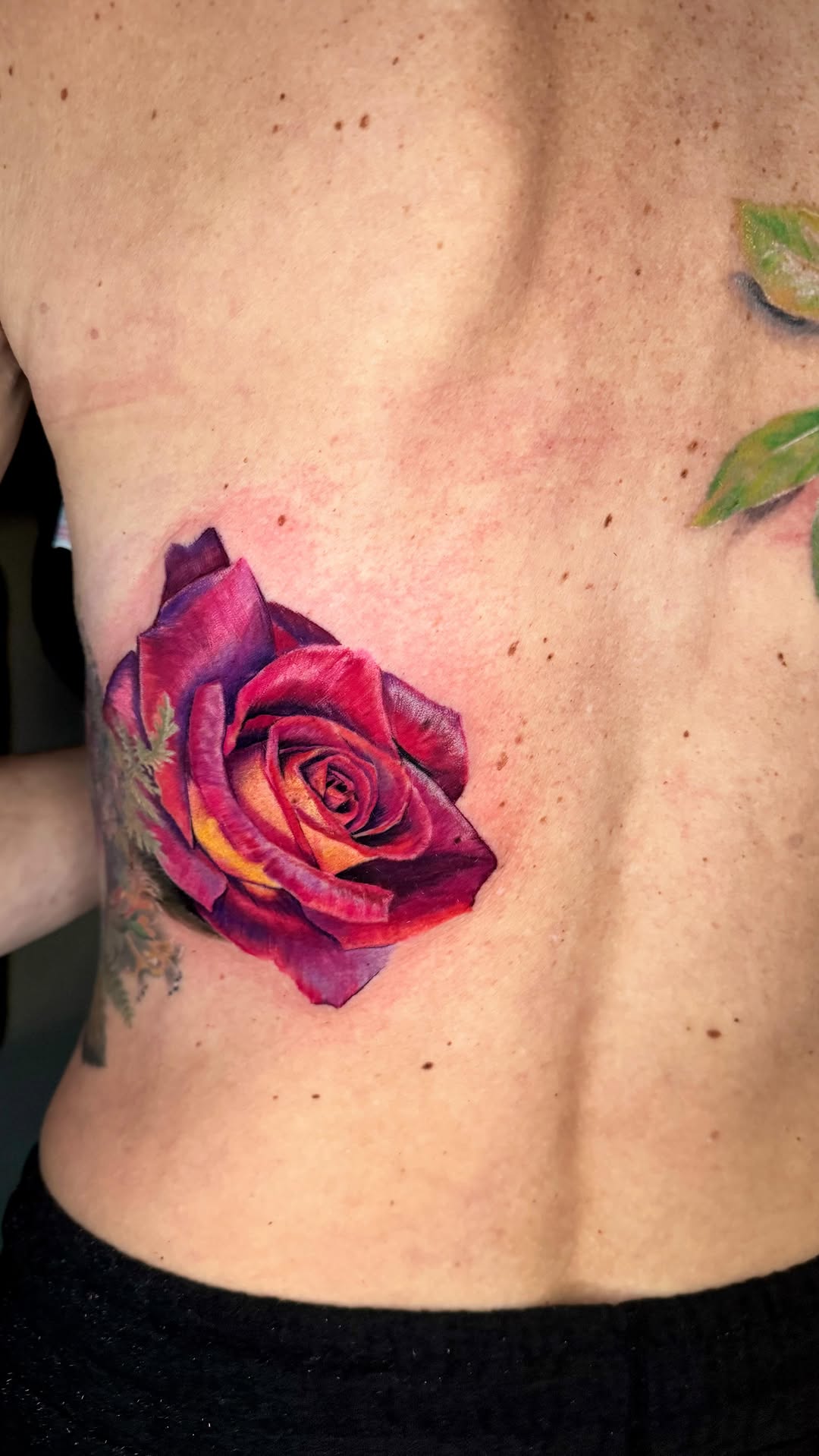 Vibrant watercolor rose with purple-pink petals and orange core