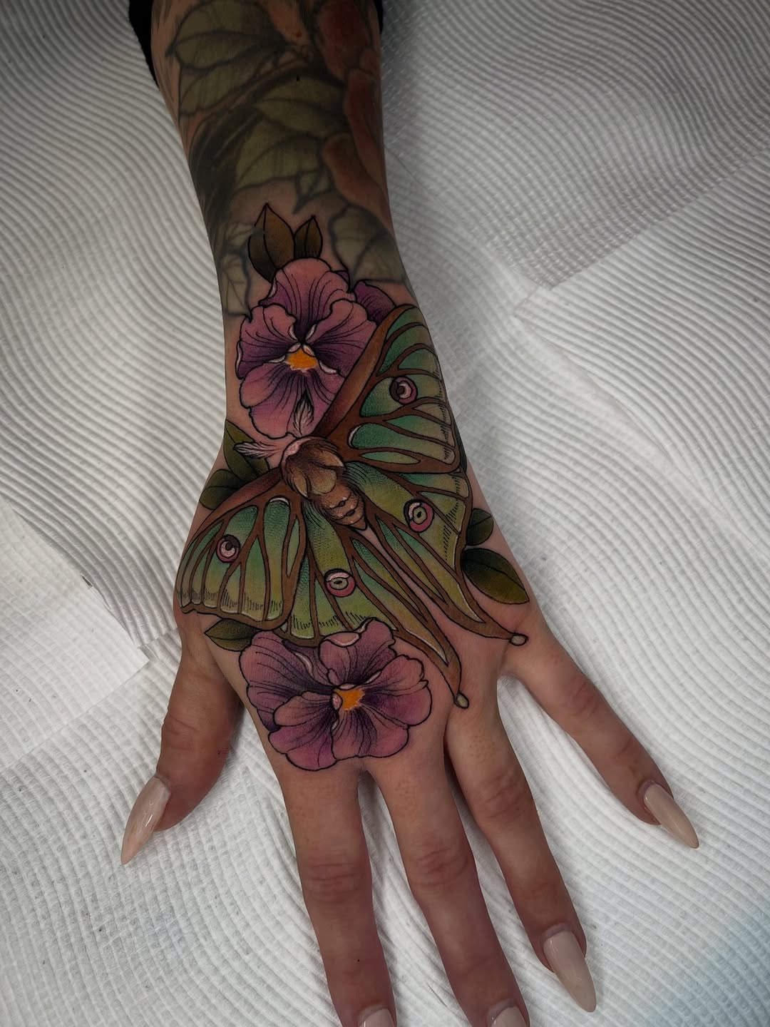 Vivid Spanish moon moth with pink pansies, botanical flourish.