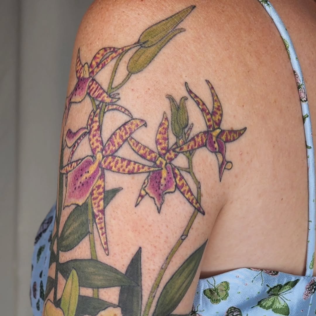 Vibrant orchid bouquet with bold outlines and color