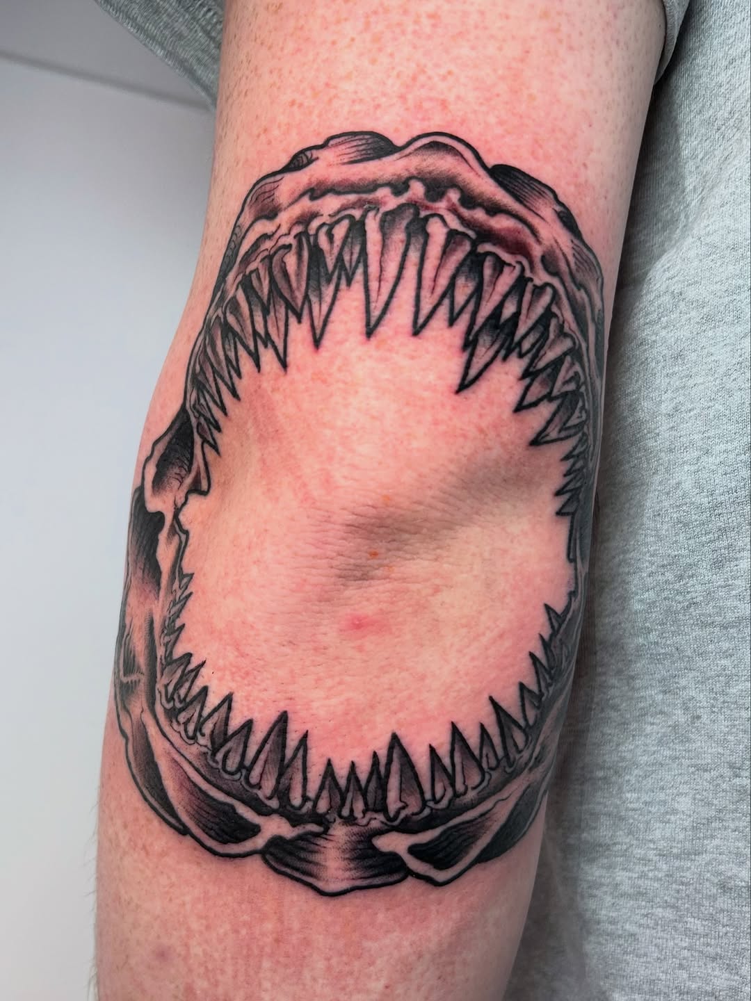 Menacing circular shark jaw with razor teeth around elbow