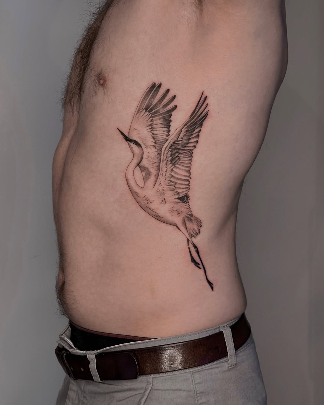 Graceful crane in flight with delicate black-and-gray linework