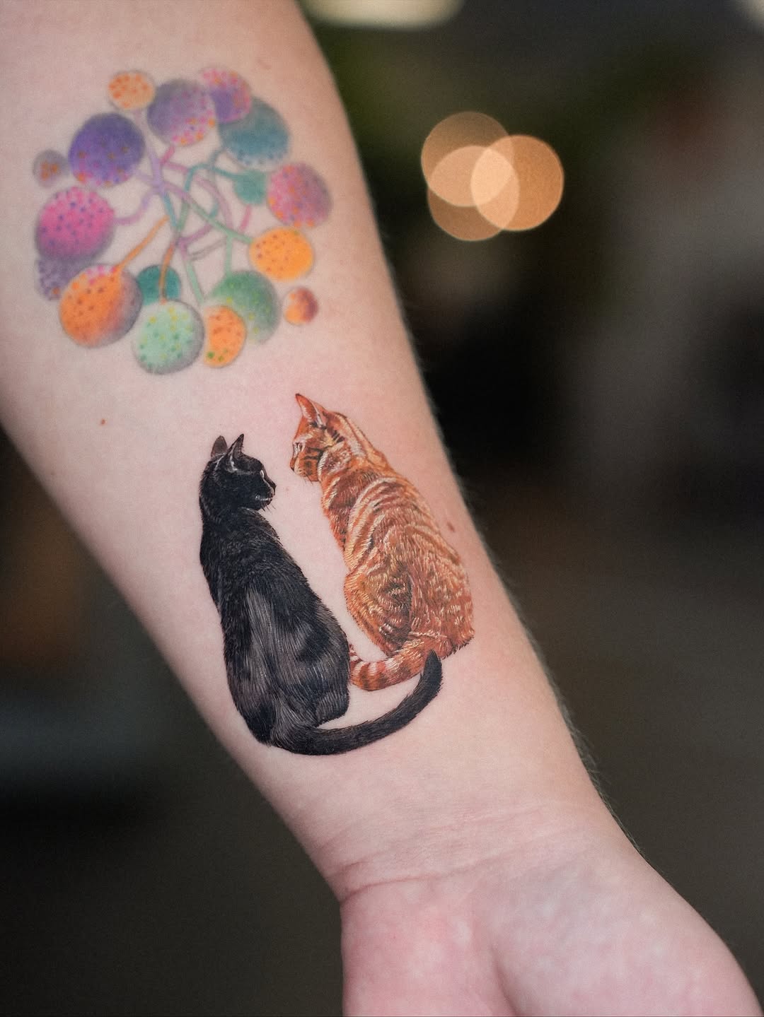 Two cats in black and orange, gazing with dotwork canopy