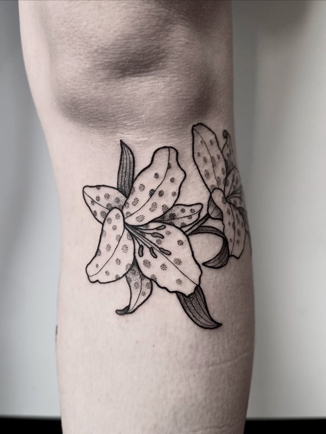 Delicate lily blossoms with stippled petal shading.