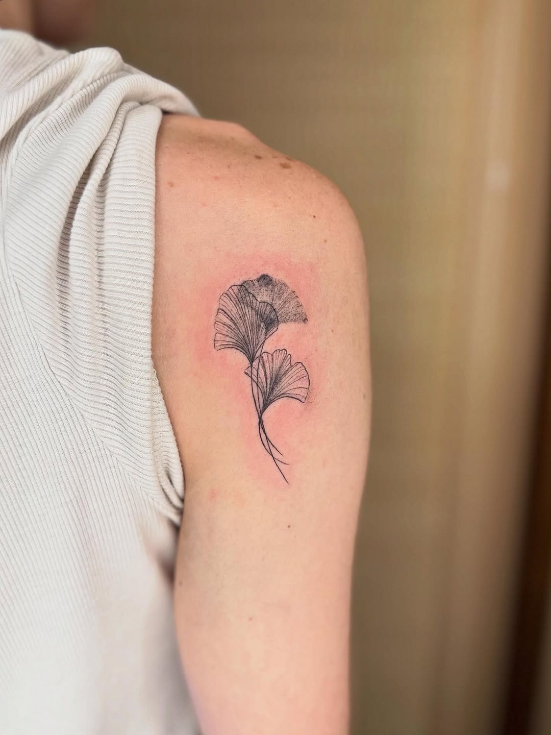 Delicate fine-line ginkgo leaves with subtle shading