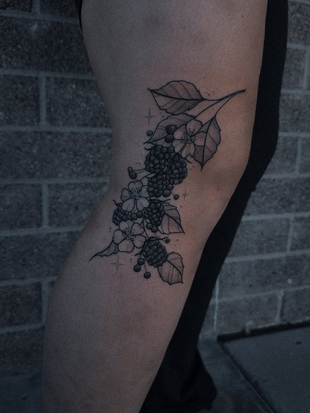 Delicate grapevine with clusters and blossoms in fine linework