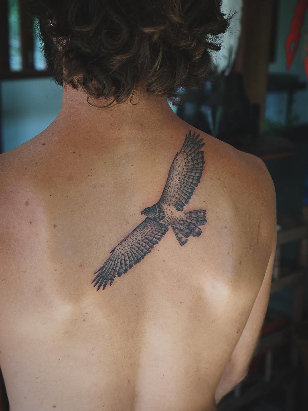 Mid-flight eagle with intricate feather linework