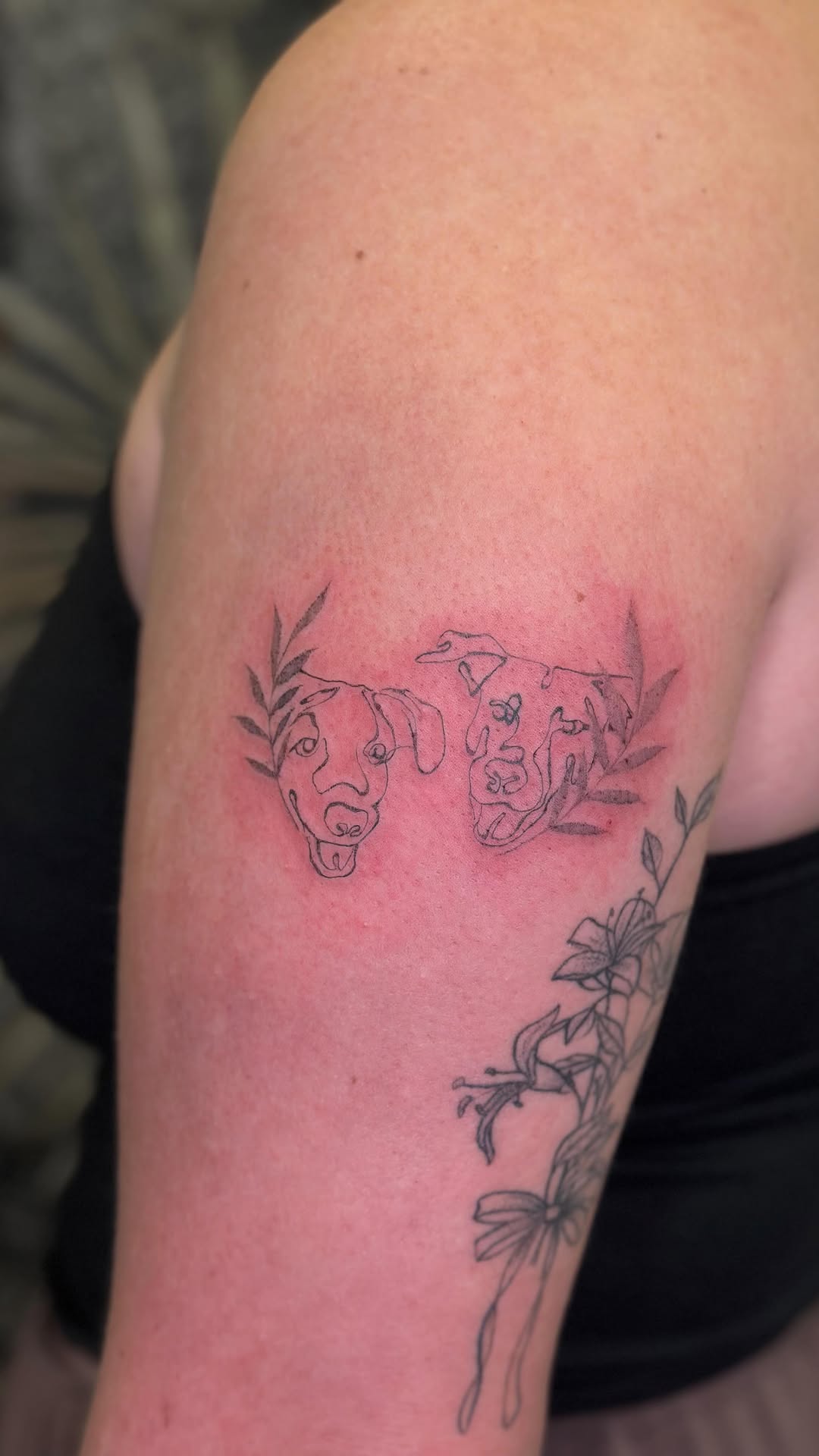 Two delicate dog portraits in fine-line with leaves