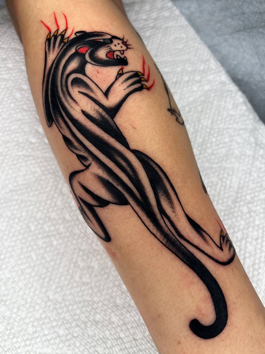 Bold black panther with sinuous curves and red claws