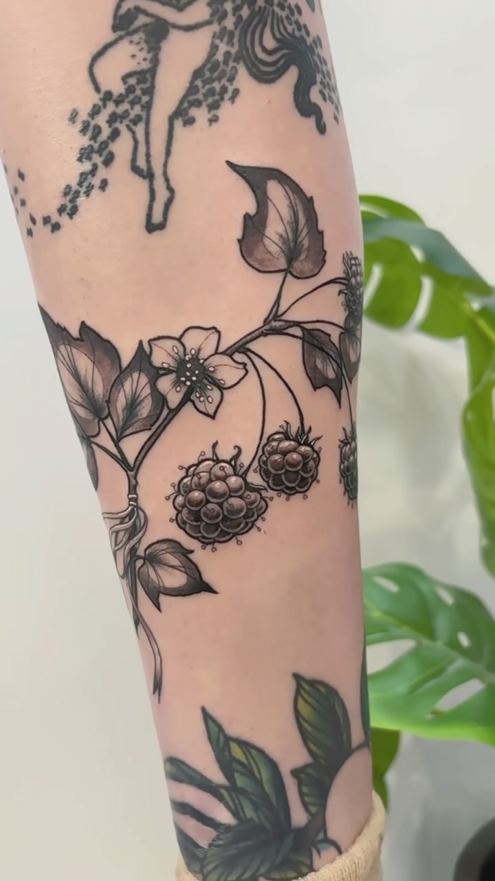 Delicate black-and-gray raspberry vine with detailed leaves