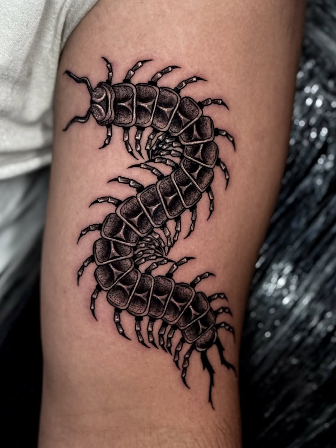 Detailed centipede tattoo