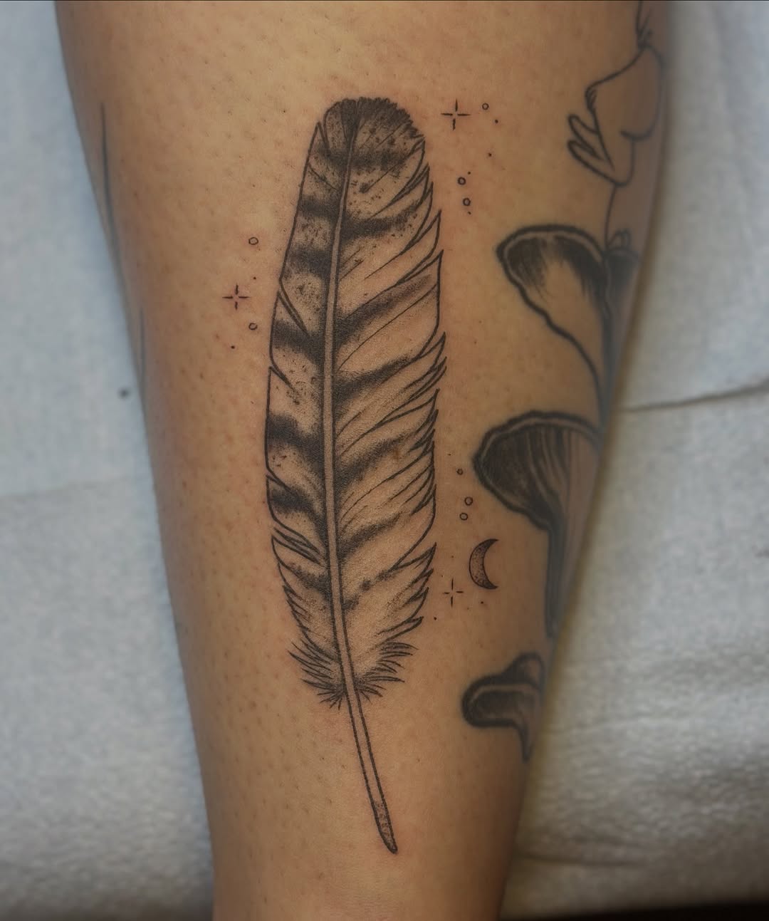 Delicate feather with fine lines, stars, and crescent moon