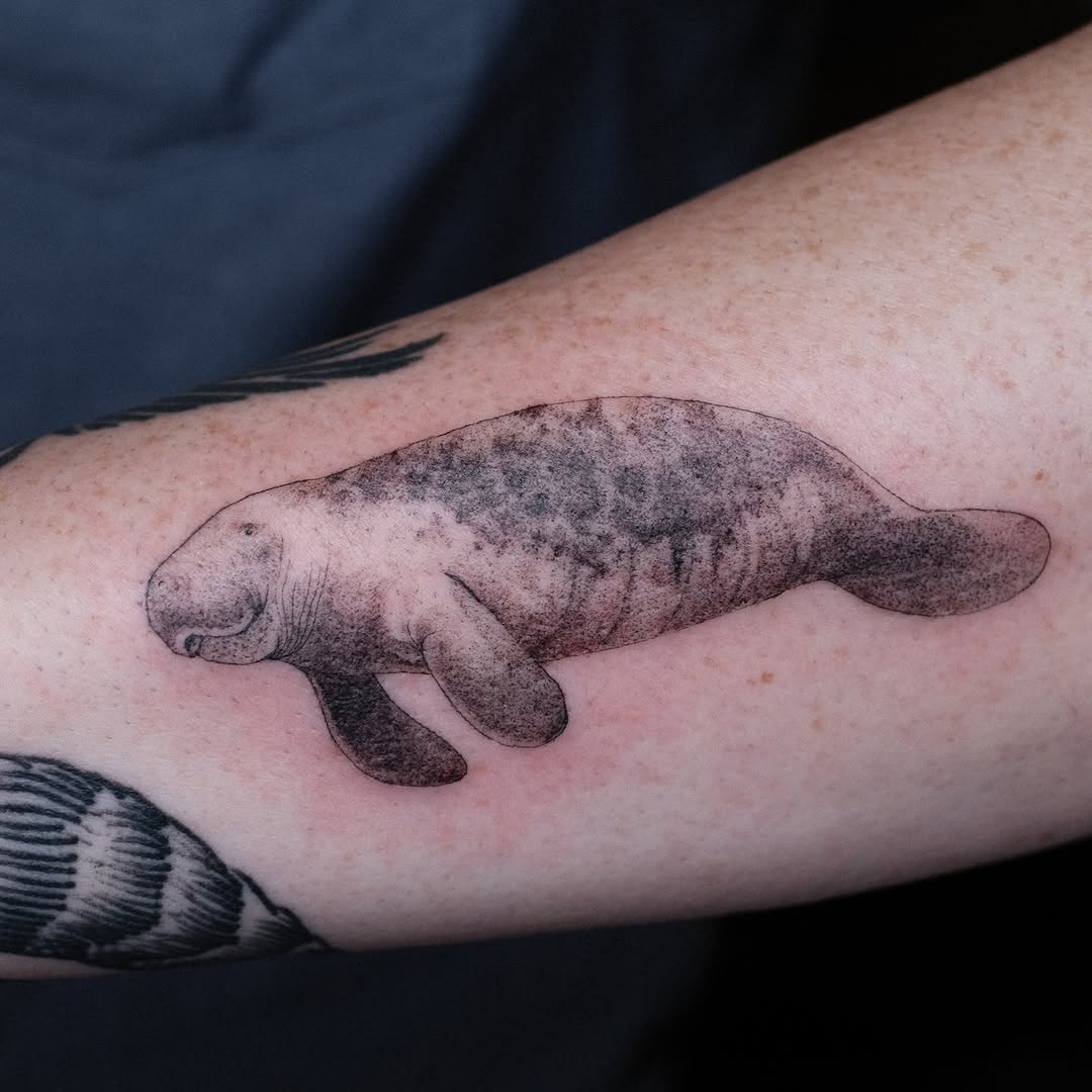 Stippled blackwork manatee with soft shading and texture