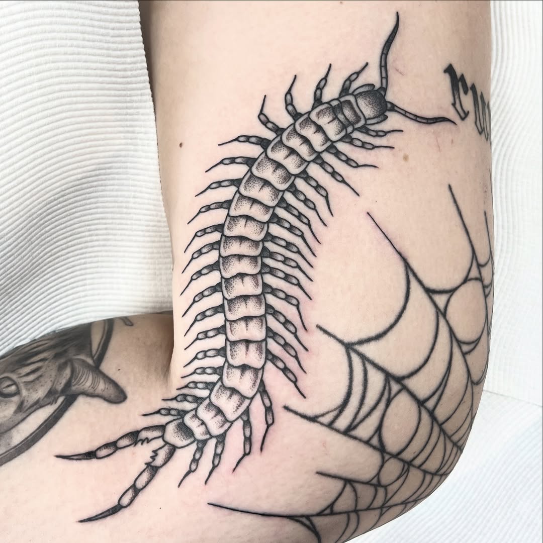 Bold blackwork centipede with crisp lines and stipple shading
