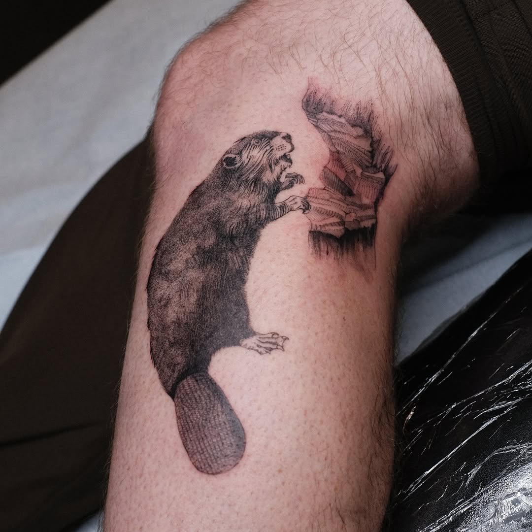 Beaver in bold linework, reaching toward jagged rock