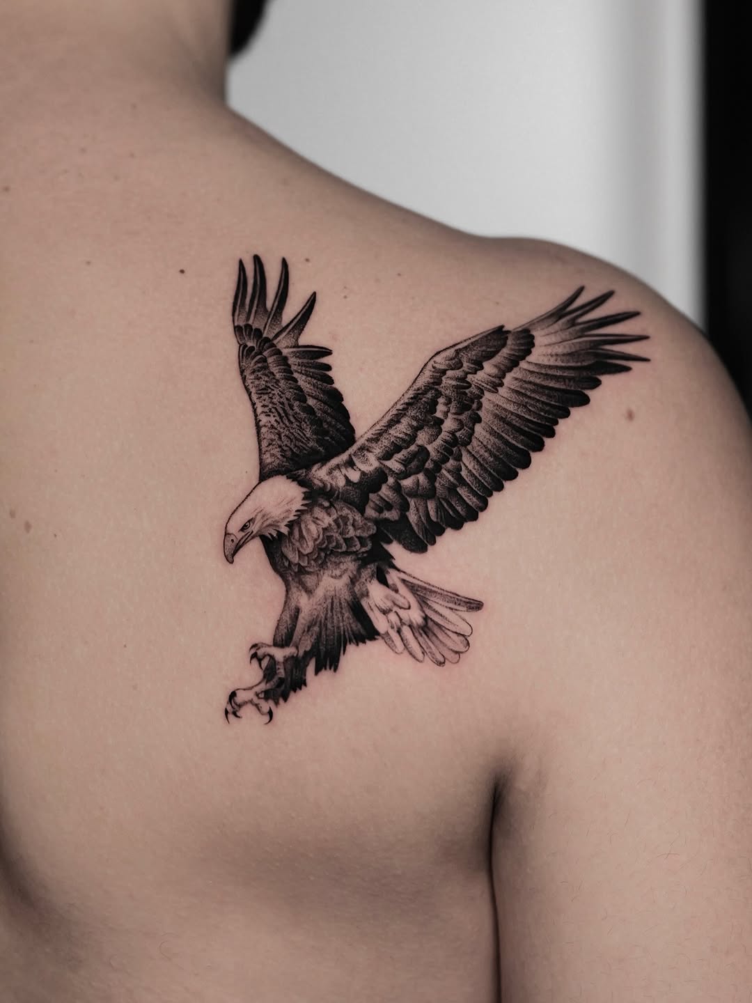 Bold black-and-gray eagle with outstretched wings.