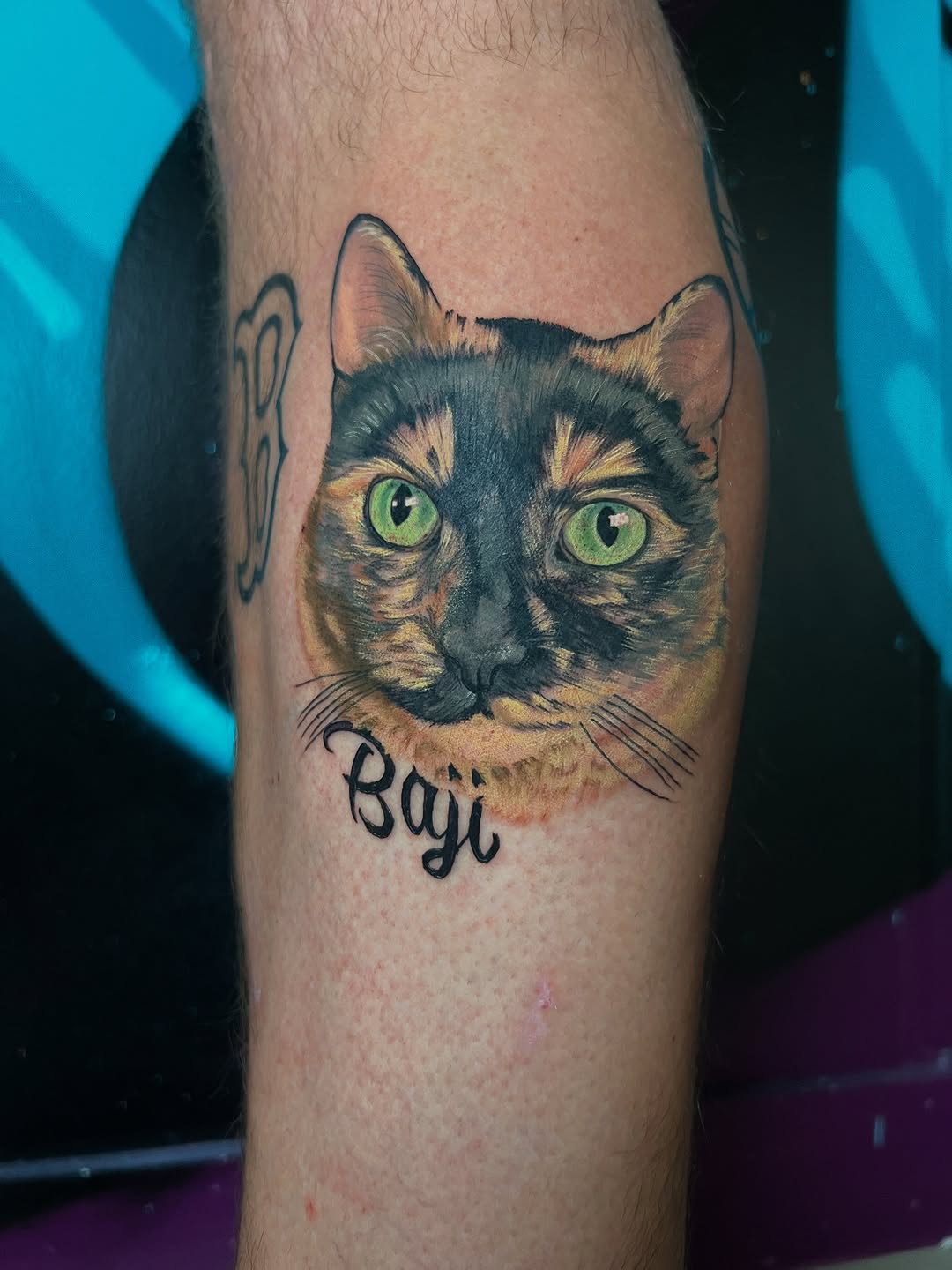 Vibrant color-realism cat portrait with piercing green eyes