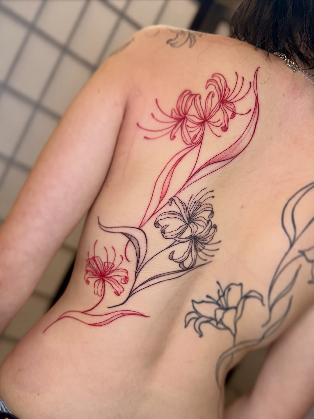 Delicate spider-lily vines in red and black linework
