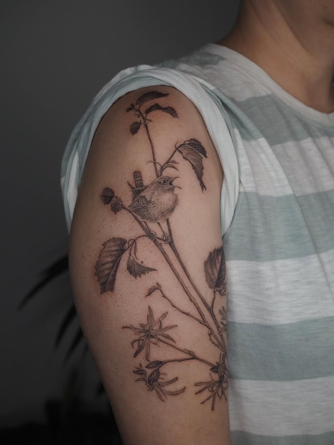 Delicate fine-line bird perched among slender stems and leaves