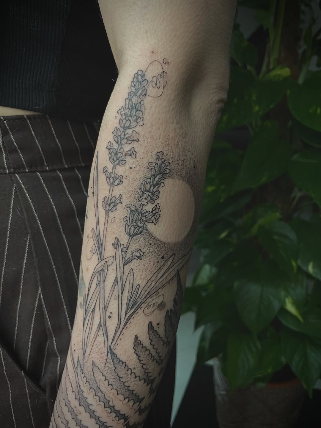 Delicate lavender sprigs in fine-line botanical style