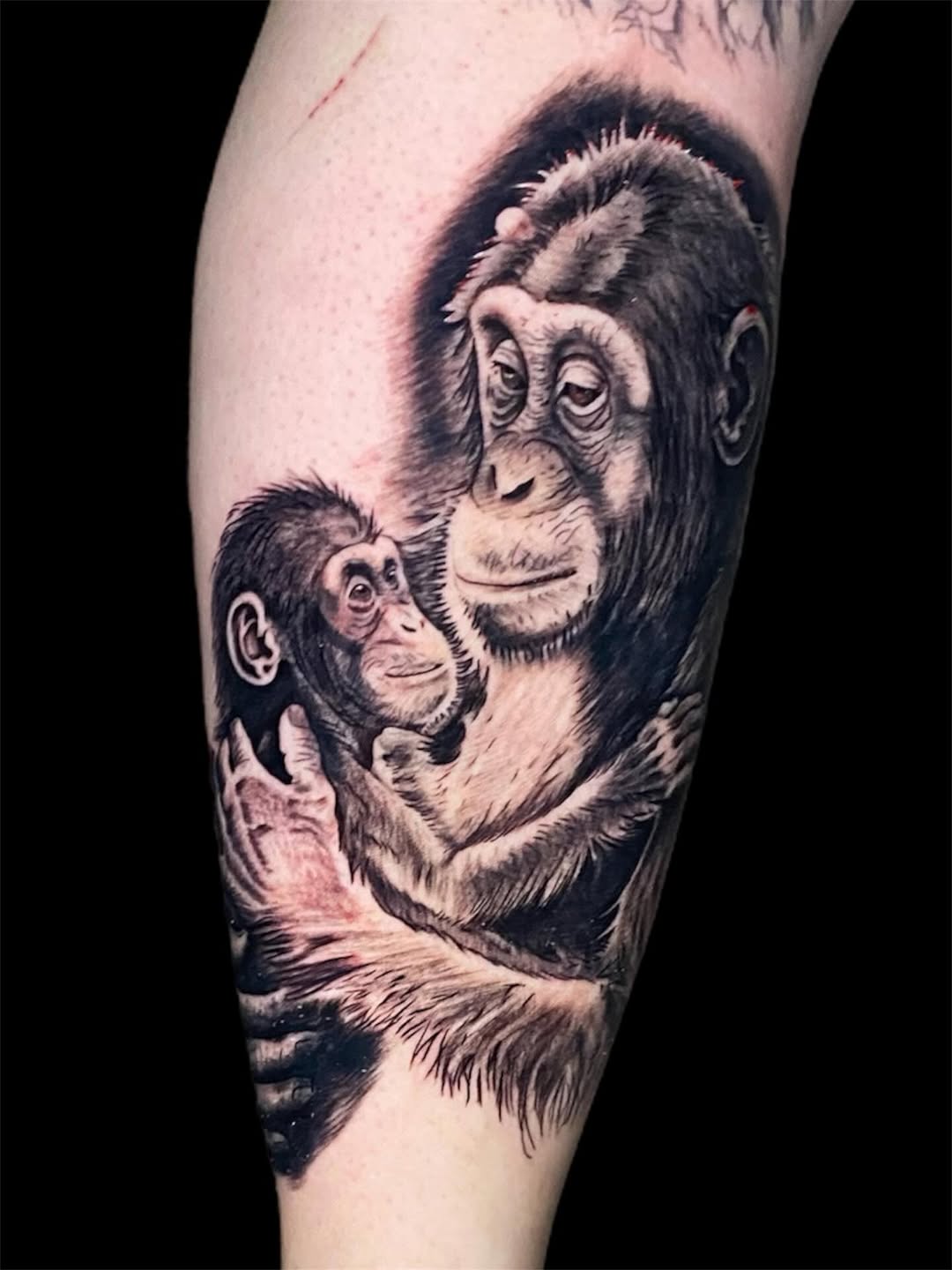 Hyper-detailed black-and-gray mother and infant chimpanzees