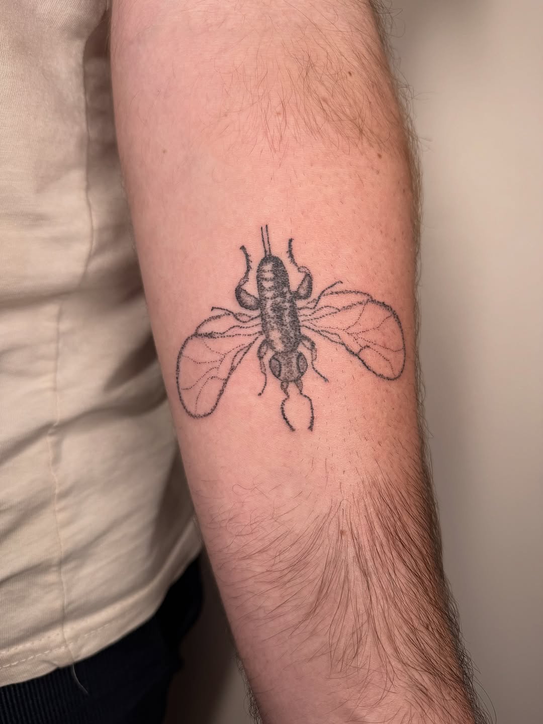 Fig wasp tattoo on arm