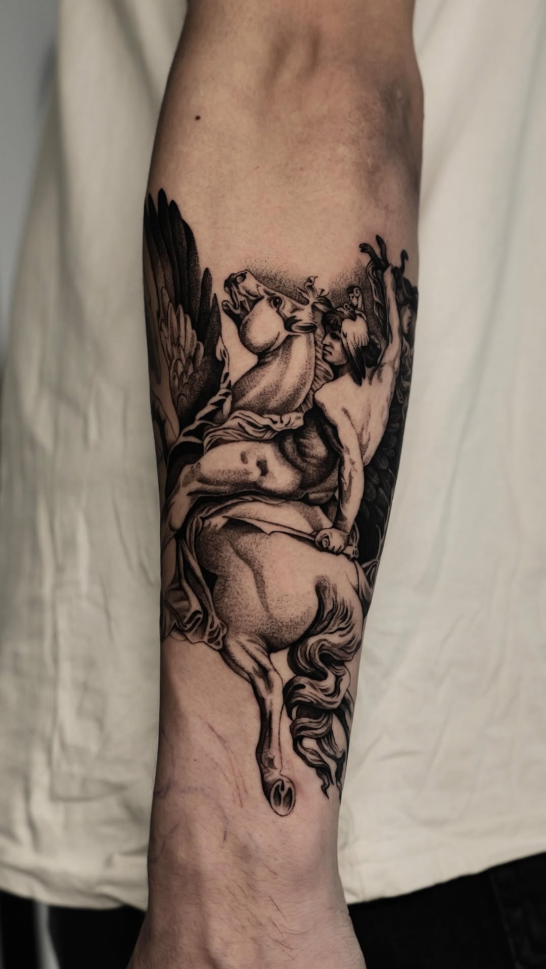 Dramatic black-and-gray Pegasus with rider, bold shading