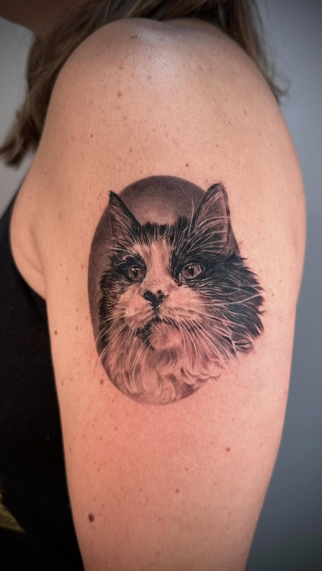 Lifelike black-and-gray cat portrait with fluffy fur