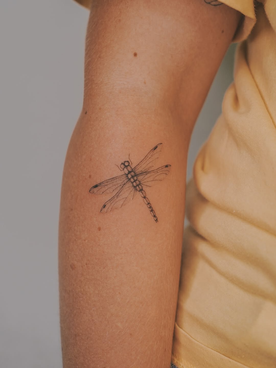 Delicate dragonfly linework on inner upper arm, minimalist