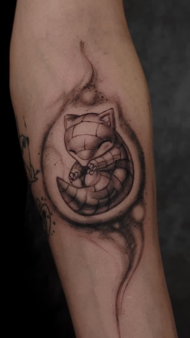 Curled sleeping cat within a shaded circular frame, blackwork.