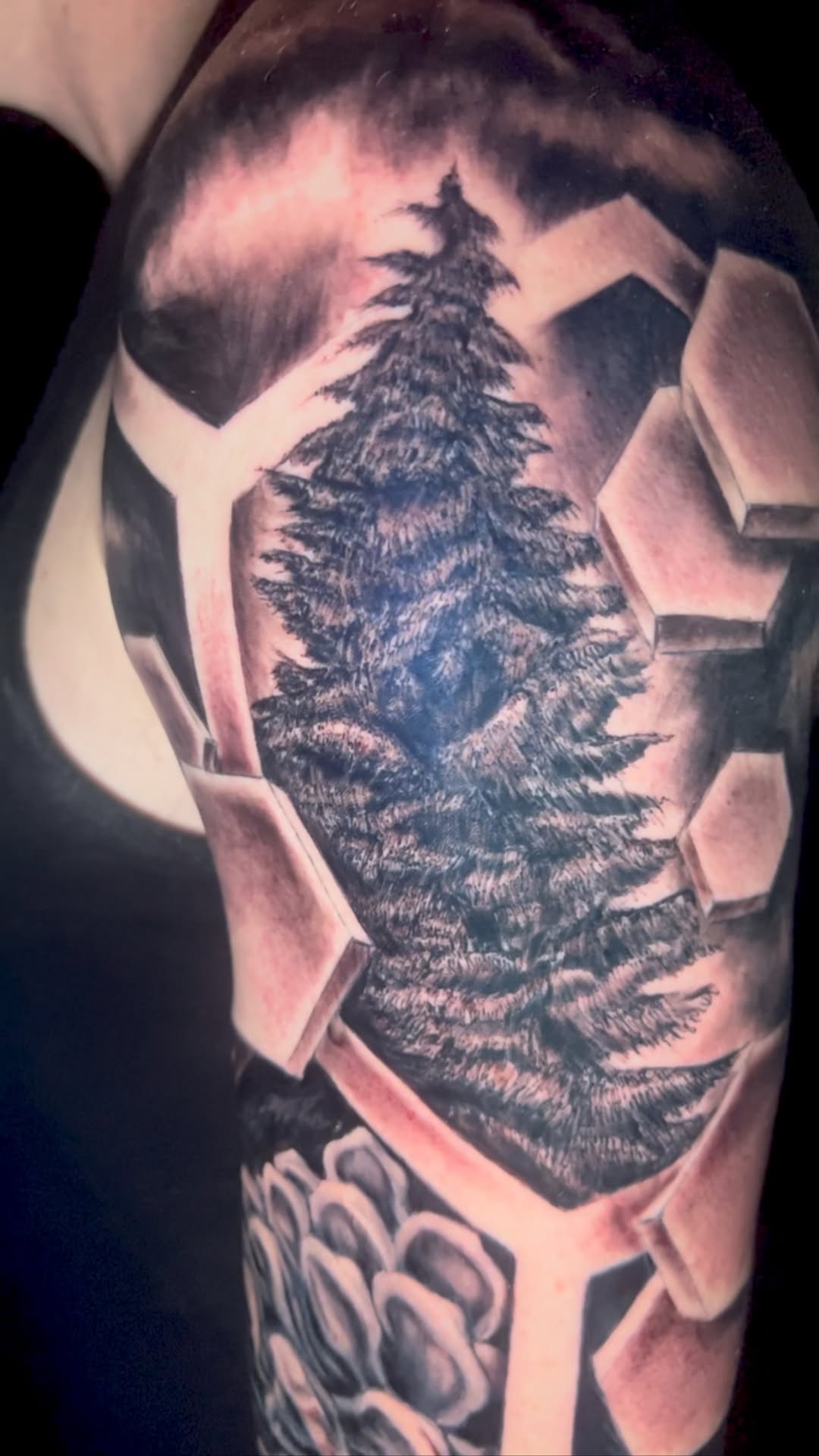 Monochrome pine forest framed by jagged geometric shards