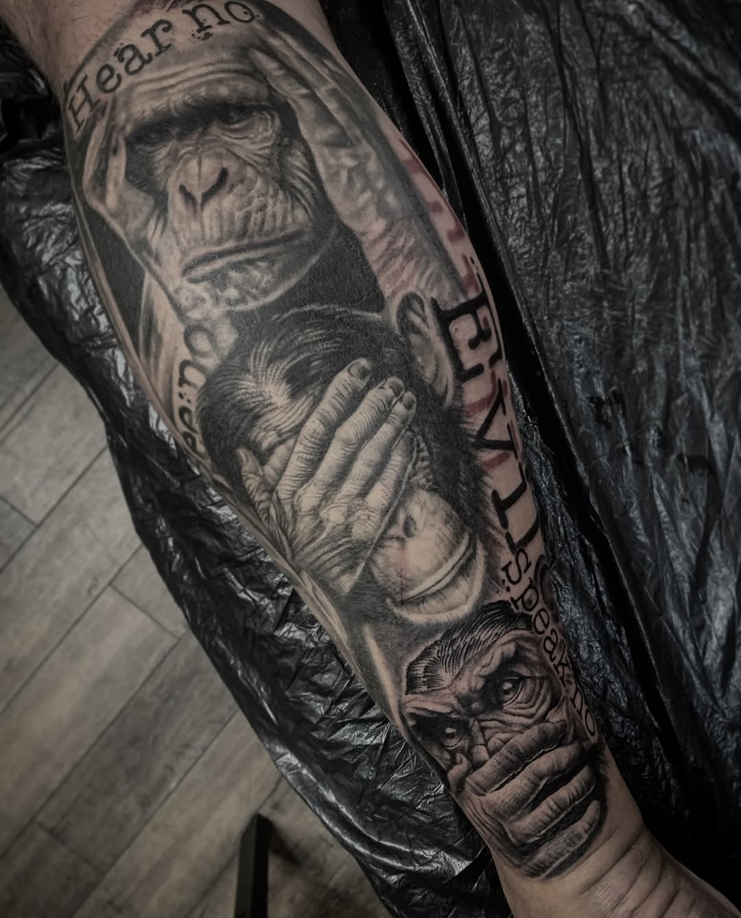 Hyper-detailed monochrome trio of see-no-evil chimps.