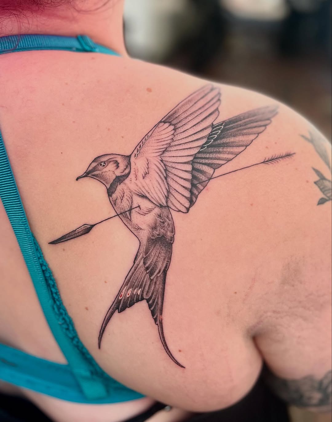 Bold swallow in flight with crisp linework and shading