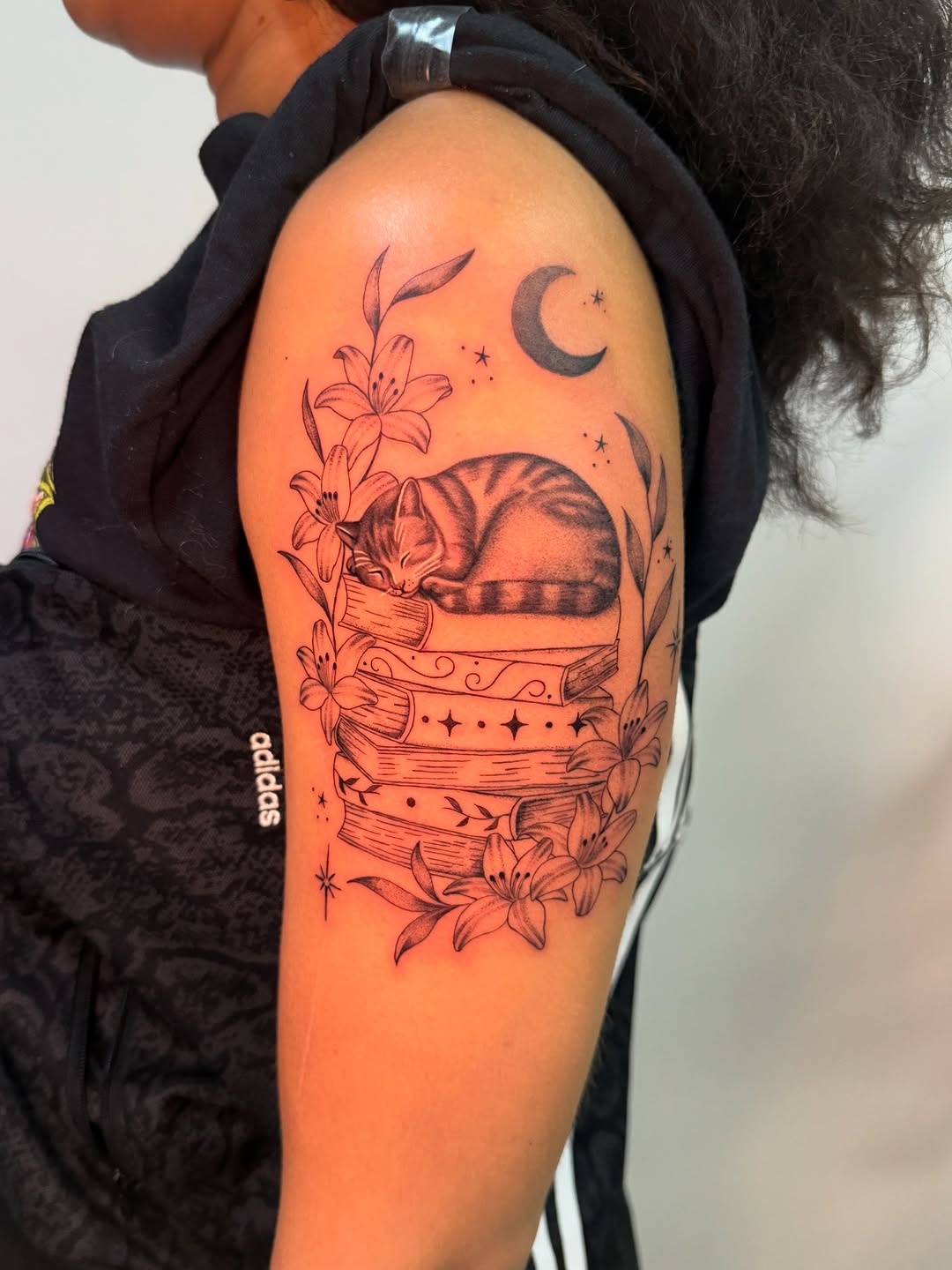 Delicate fineline cat napping atop ornate books, moonlit night