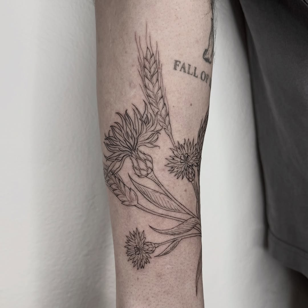 Delicate fine-line wildflowers with graceful stemwork