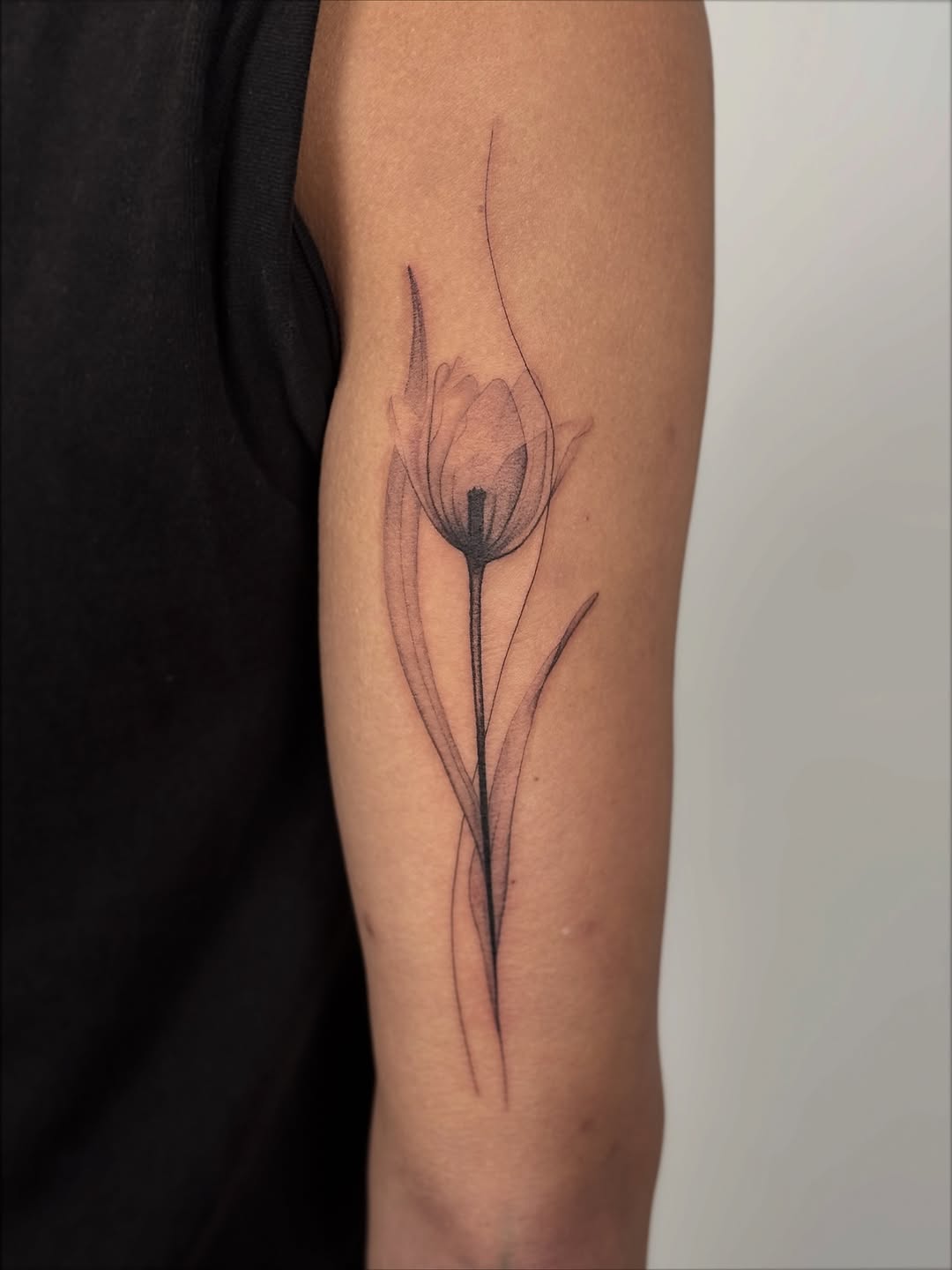 Elegant minimalist tulip silhouette with elongated leaves.