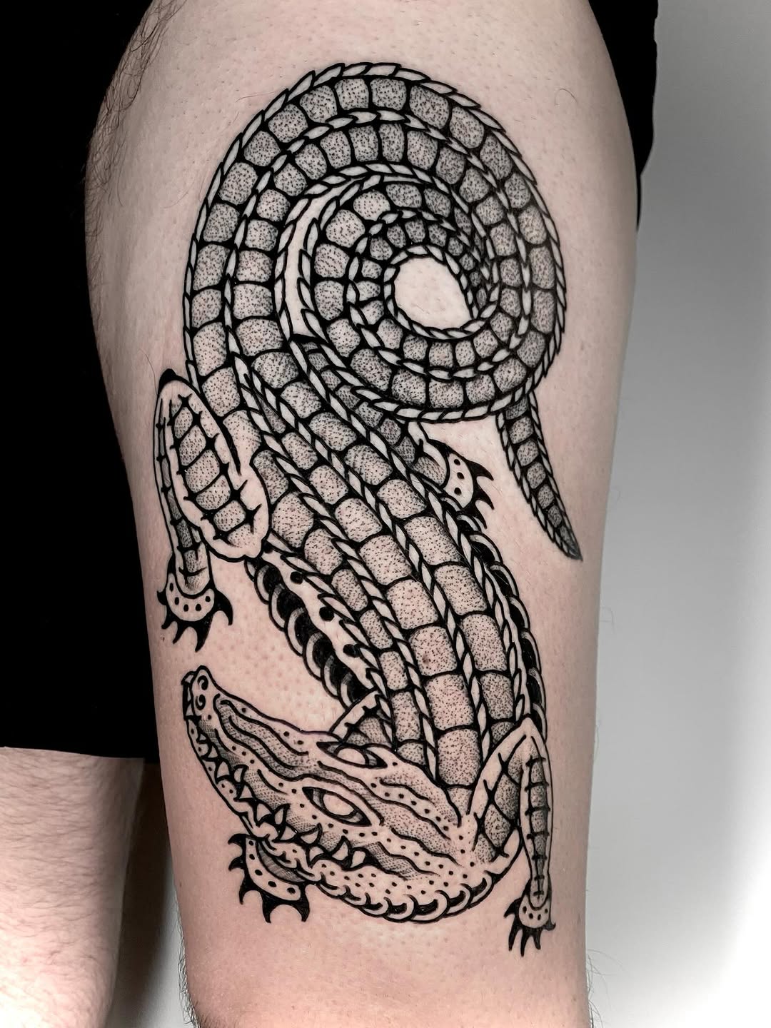Coiled crocodile tattoo with bold outlines and dot shading