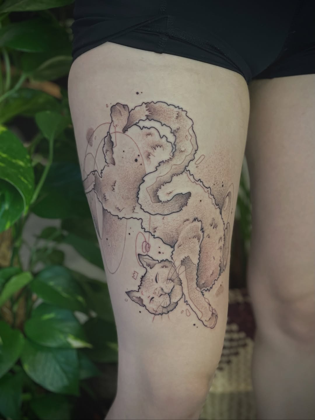 Whimsical sleeping cat in delicate linework and dot shading